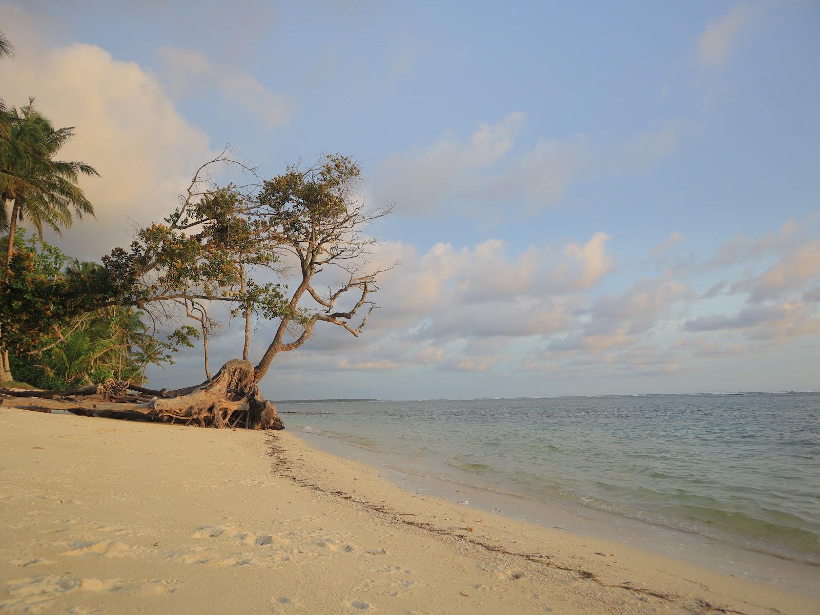 Sandee Tanjung Setia Beach