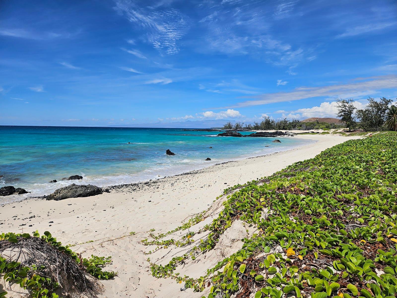 Sandee - Makalawena Beach