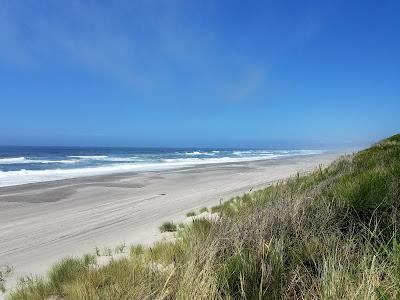 Sandee - Nestucca Bay National Wildlife Refuge