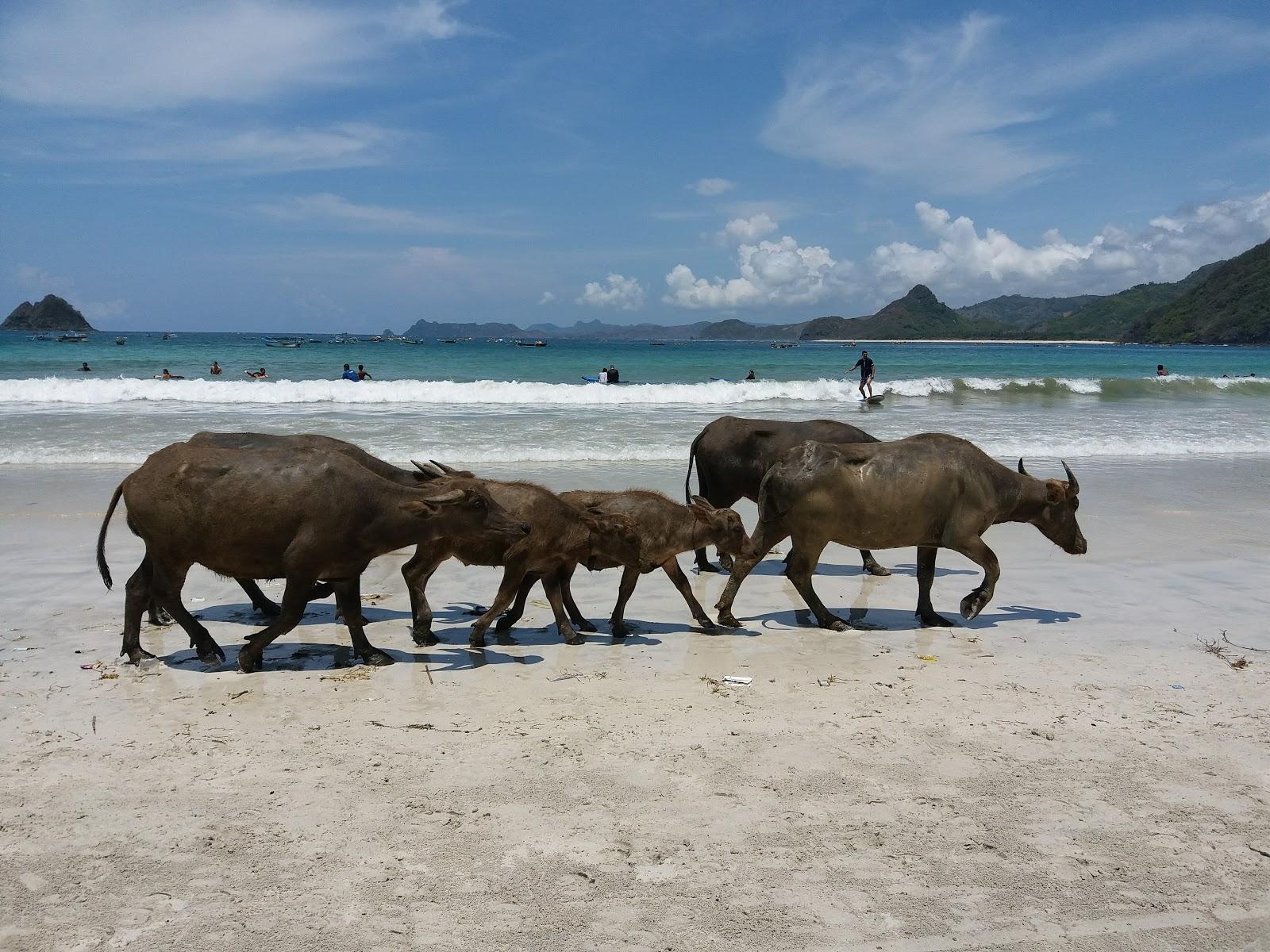 Sandee Pantai Langkowala