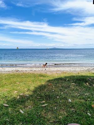 Sandee - Matakatia Bay