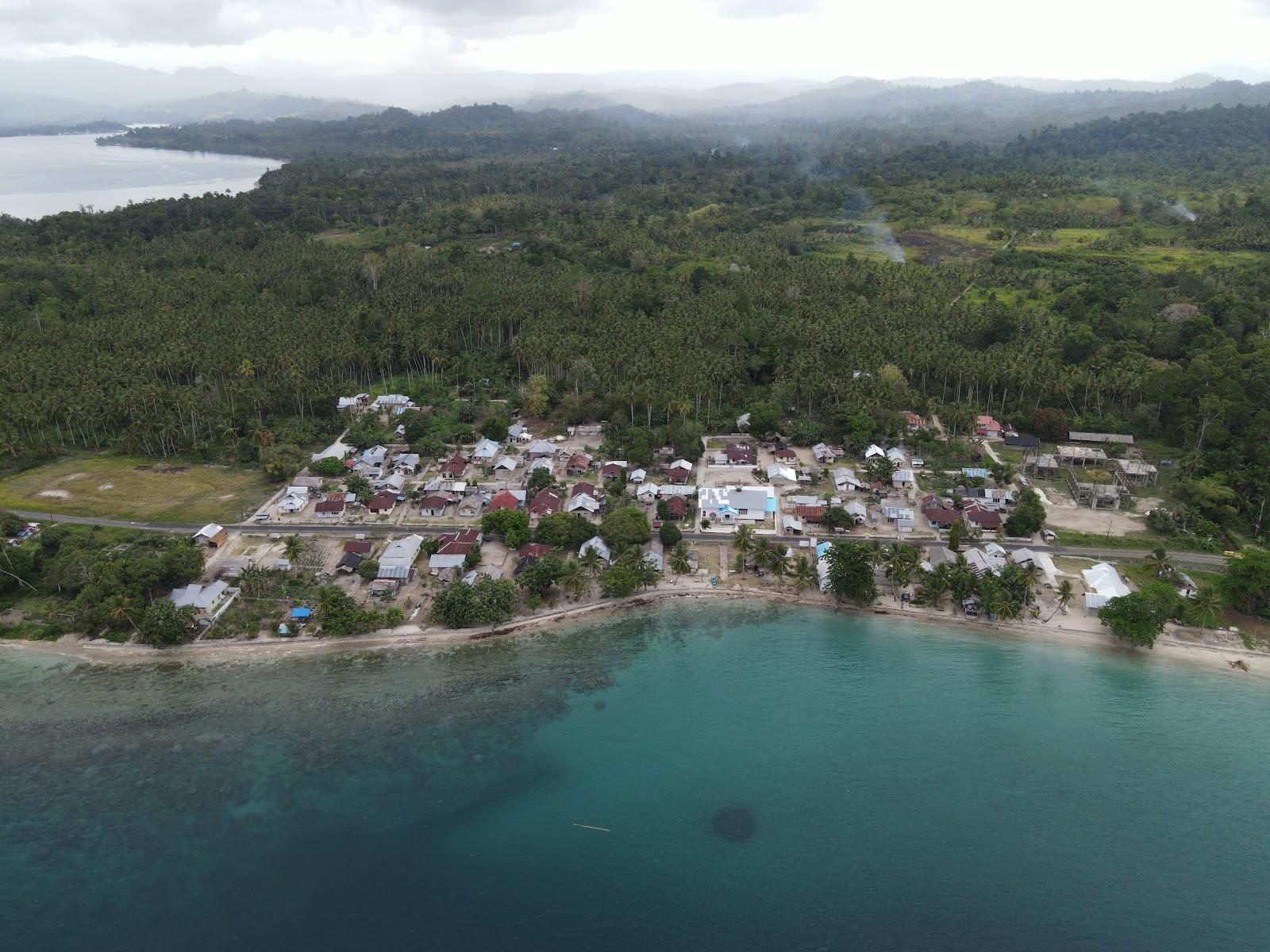 Seram Island Photo - Sandee