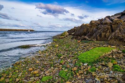 Sandee - Green Harbour Beach