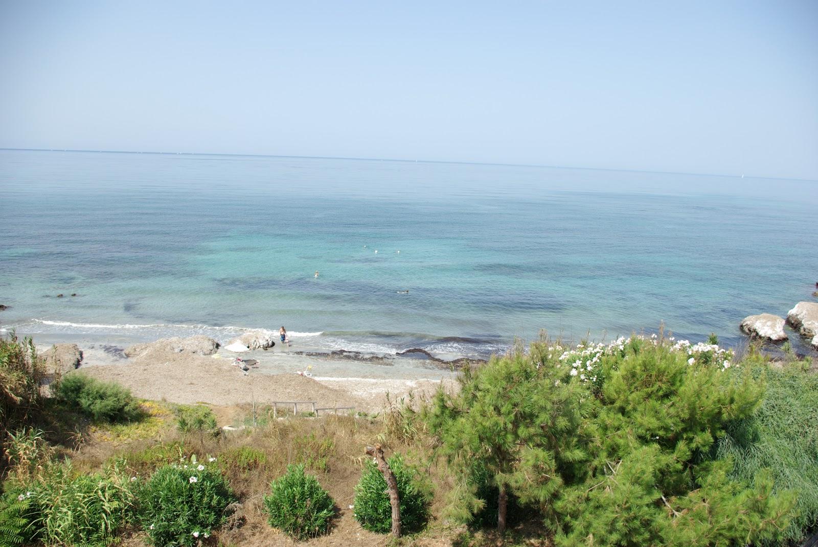 Sandee Beach In The Seaweed Photo