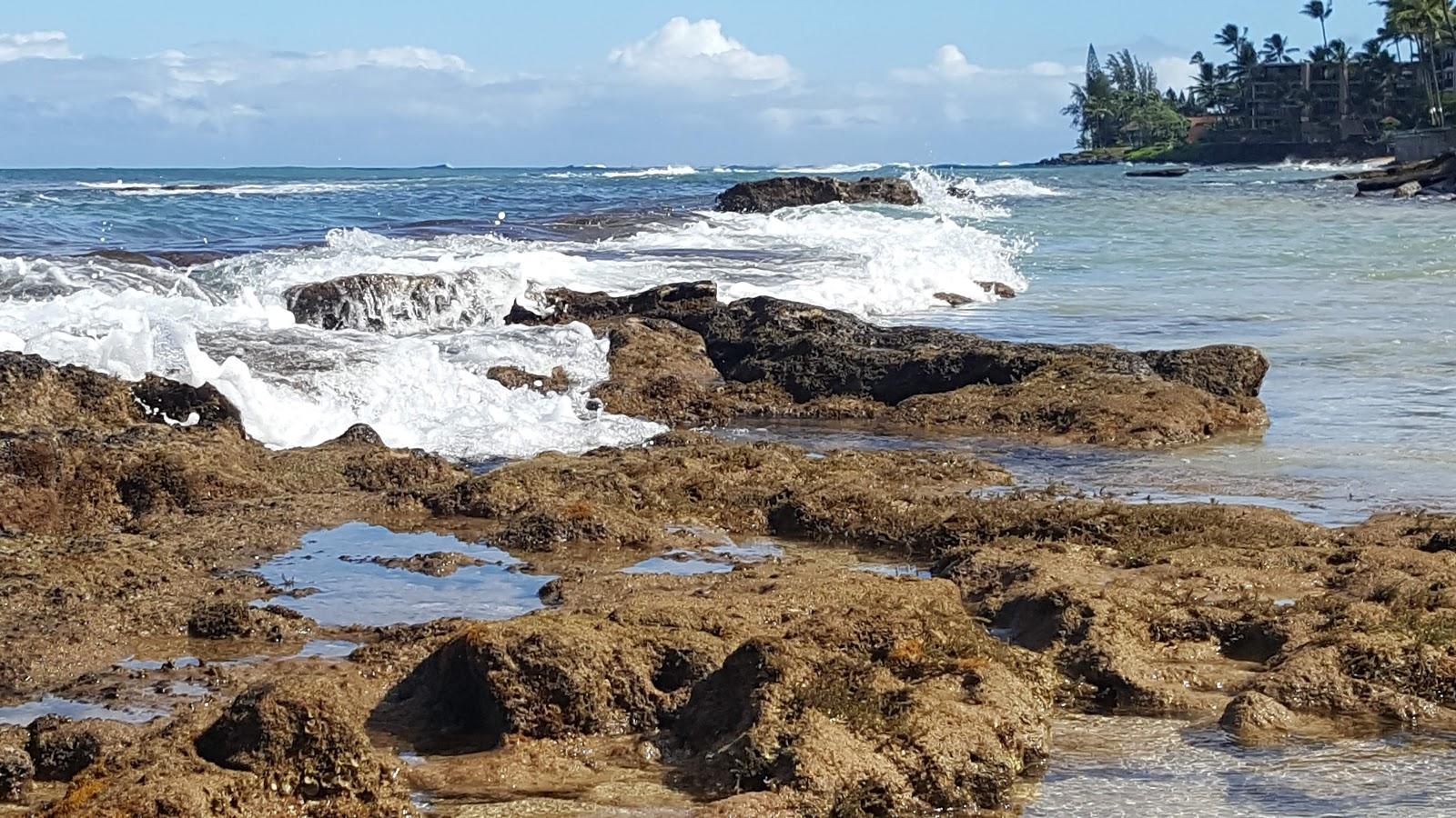 Sandee - Honokowai Beach Park