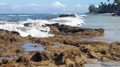 Sandee - Honokowai Beach Park