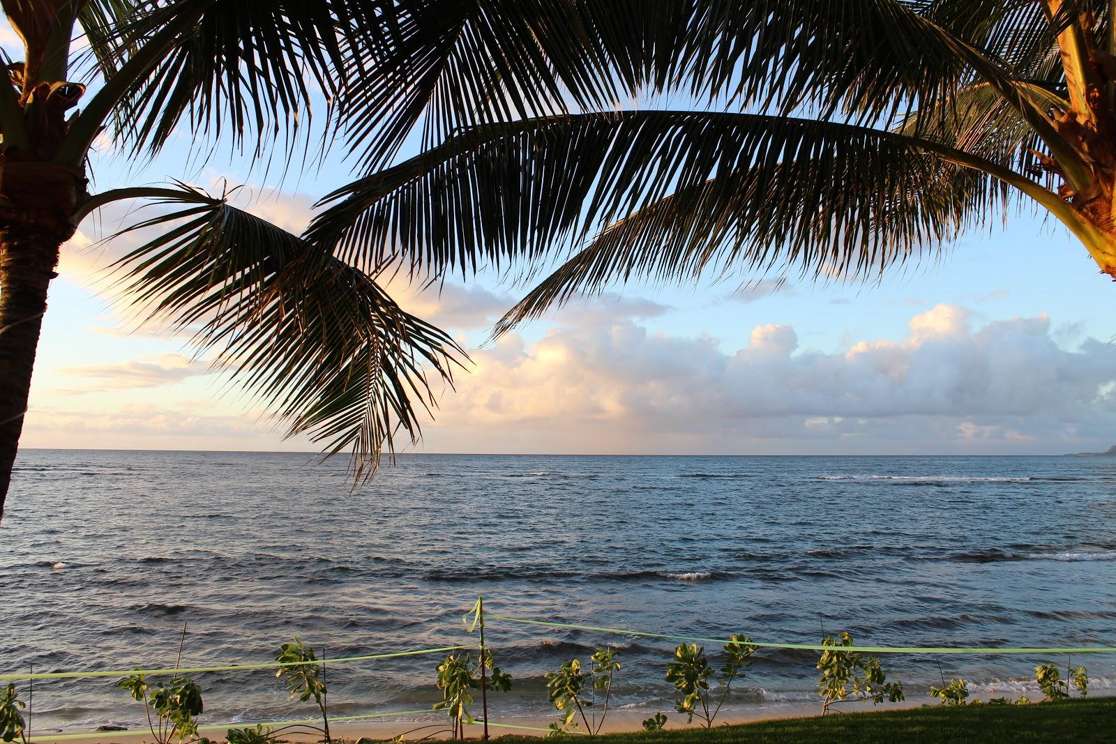 Sandee - Puuiki Beach Park