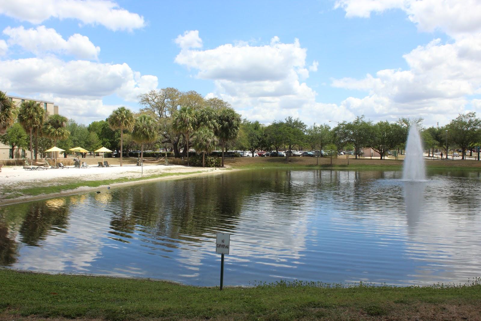 Sandee Castor Beach Photo