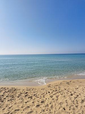 Sandee - Spiaggia Di Punta Prosciutto