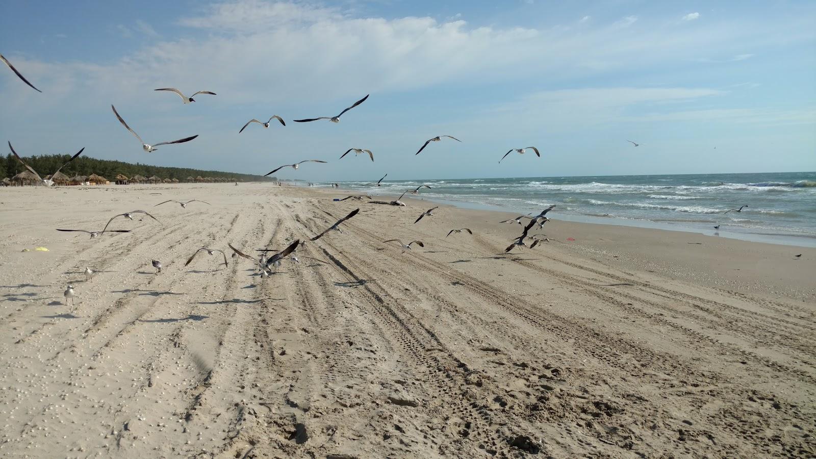 Sandee Playa La Pesca Tamps