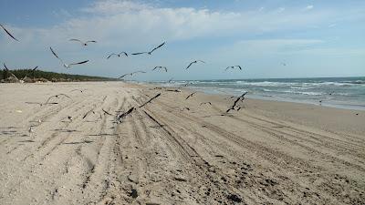 Sandee - Playa La Pesca Tamps