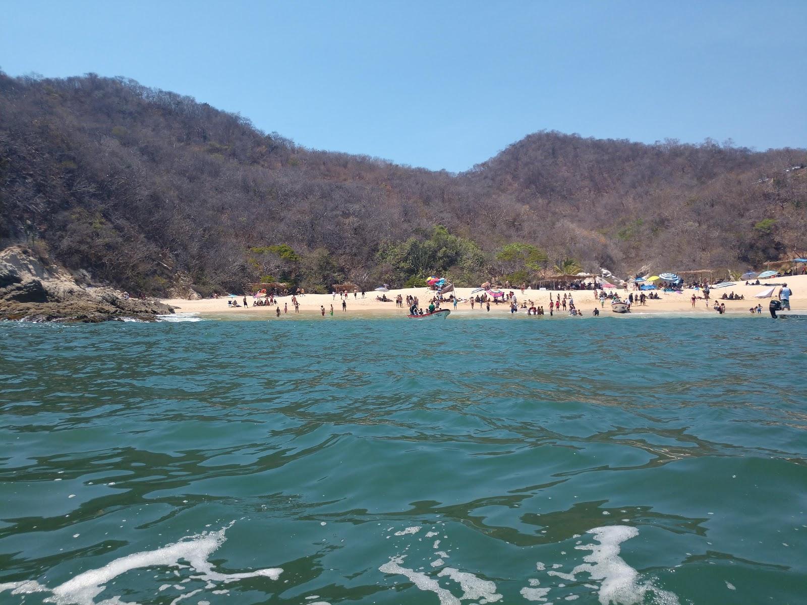 Sandee Playa Careyitos