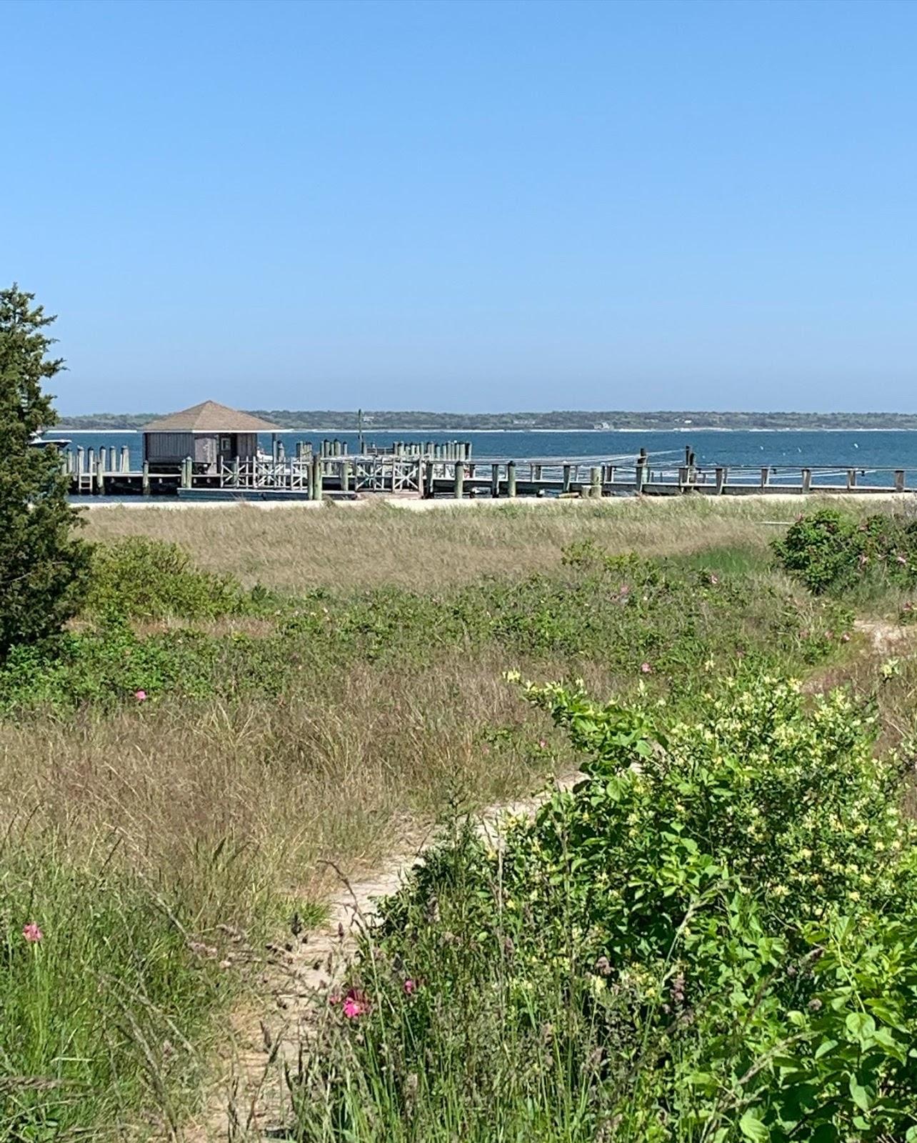Sandee Hyannis Port Beach