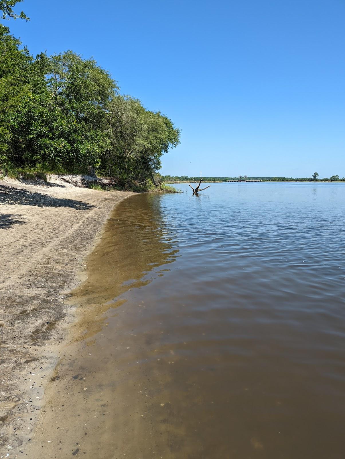 Sandee - Stono River - Wolf Island