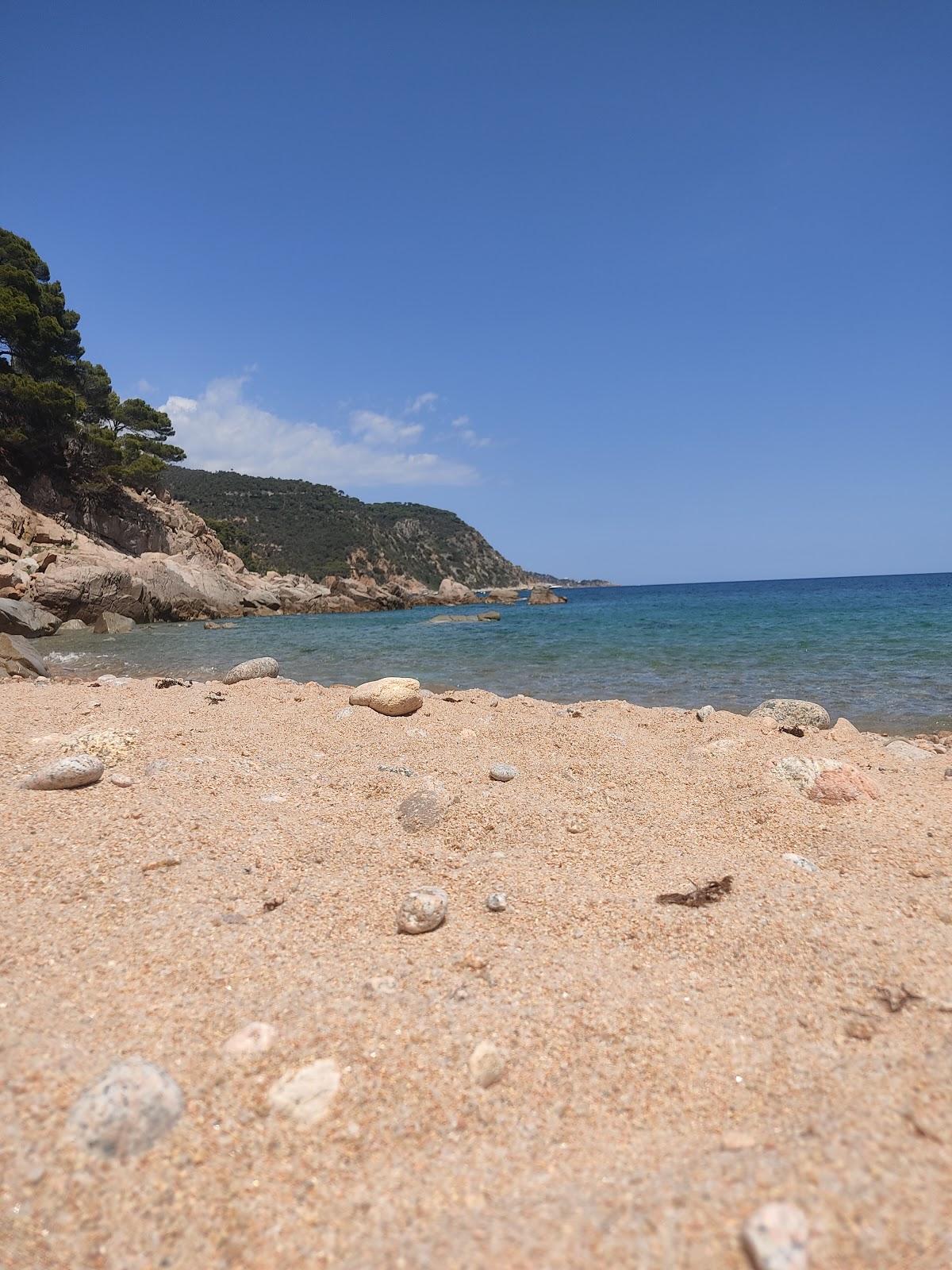 Sandee Playa De La Corcollada Photo