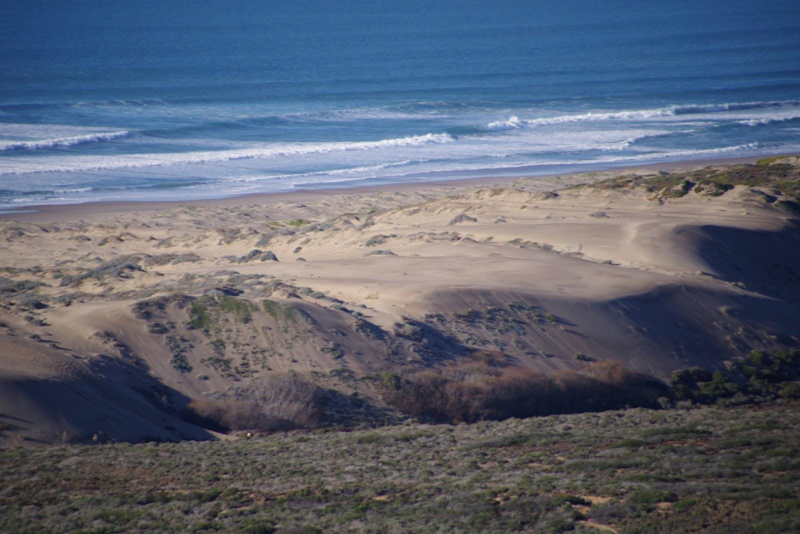 Sandee Sandspit Beach