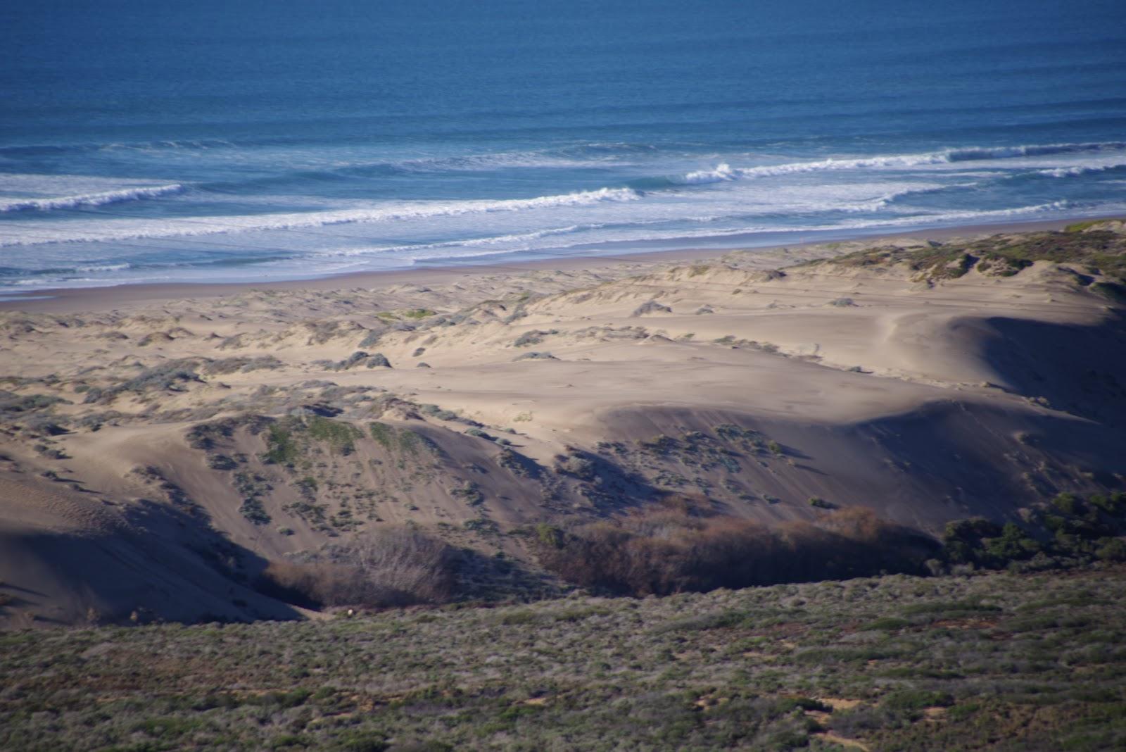 Sandee Sandspit Beach Photo