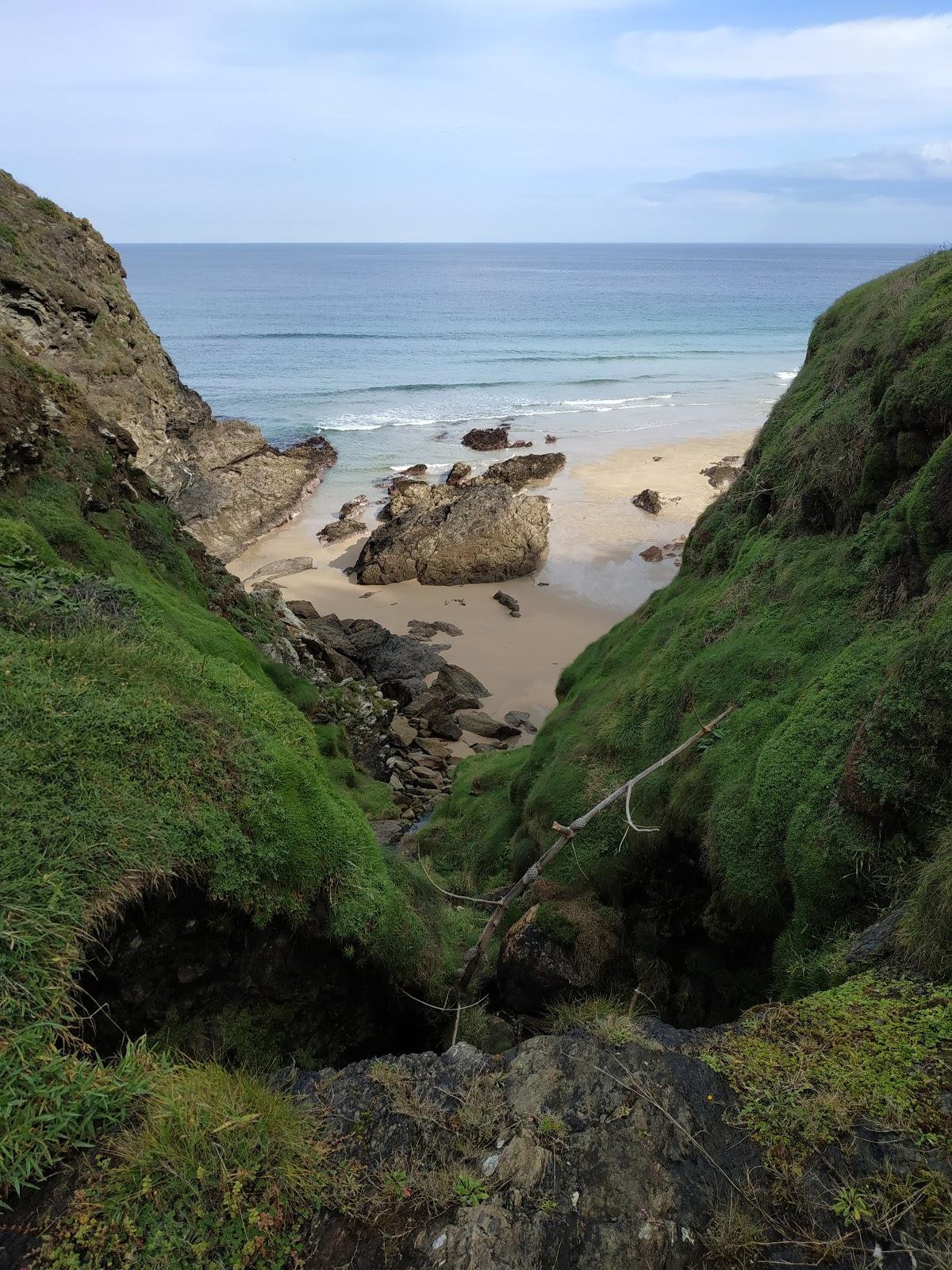 Sandee Praia Da Rega