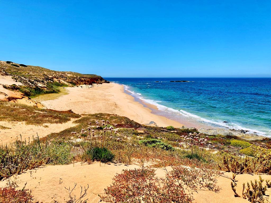 Sandee Praia Dos Canudos Photo