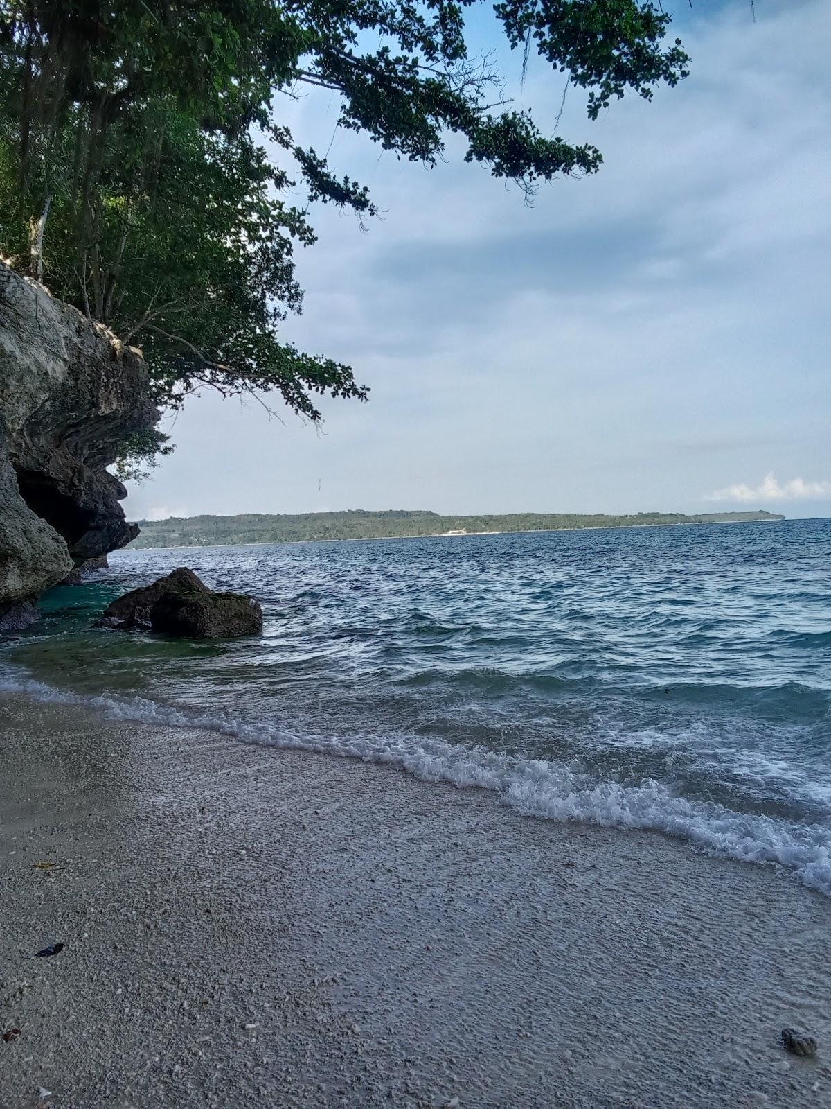 Sandee Isla Costafba Beach Resort