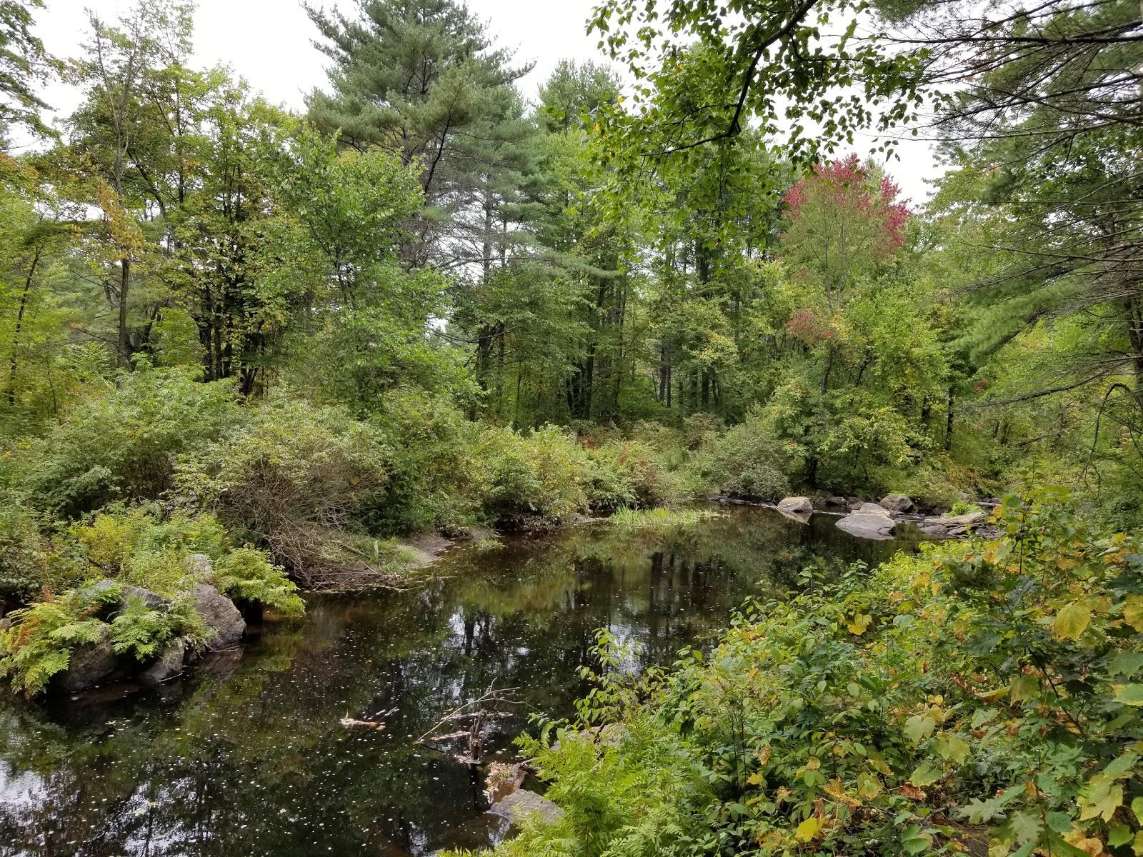 Sandee - Clough State Park