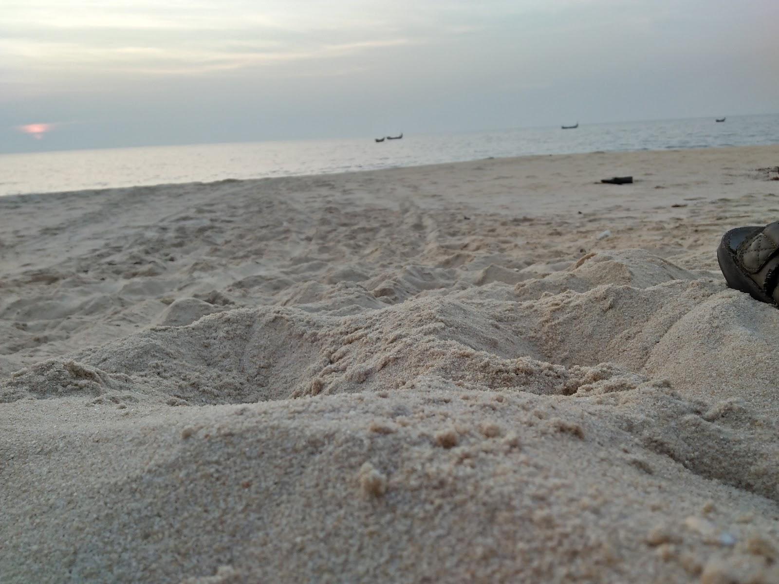 Sandee - Thiruvizha Beach