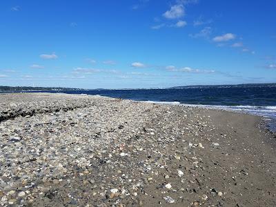 Sandee - Mccorrie Point Beach