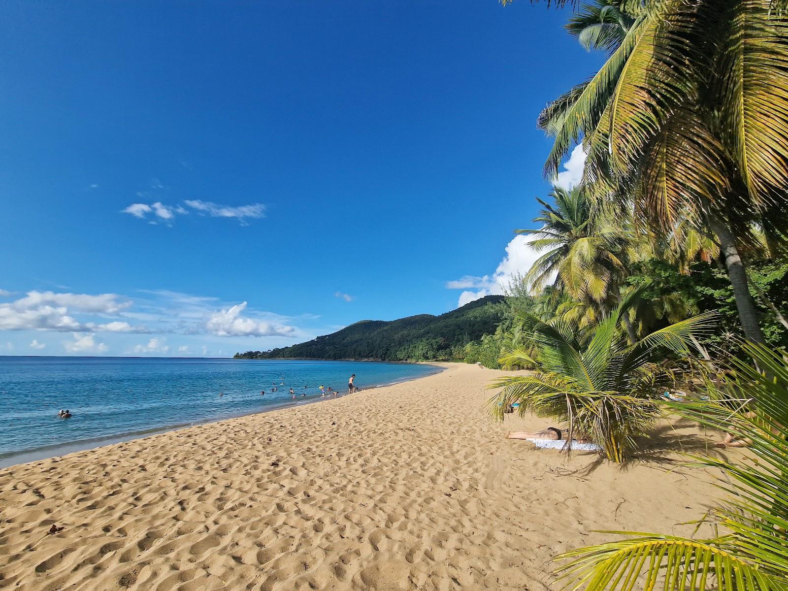 Sandee Plage De Tillet
