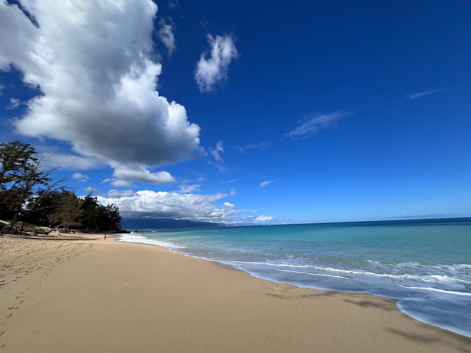 Sandee - Lower Paia Park