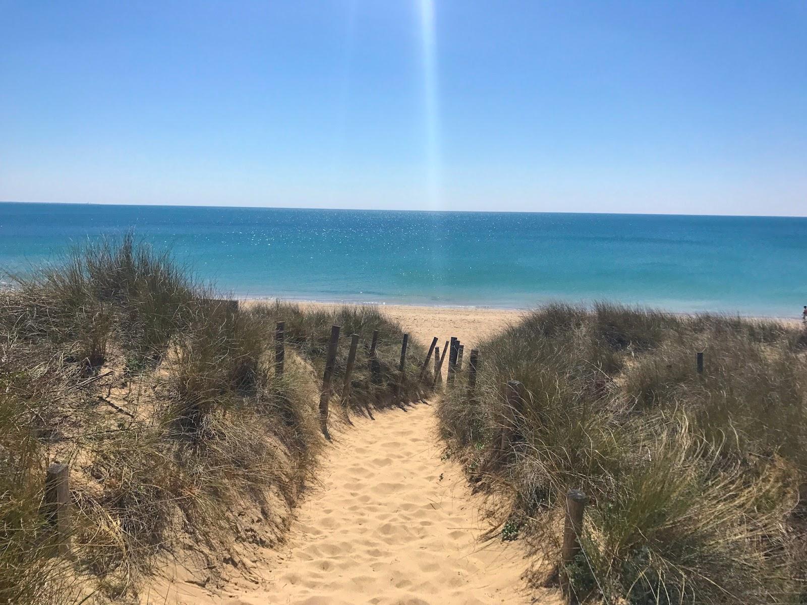 Sandee Plage Du Petit Sergent Photo