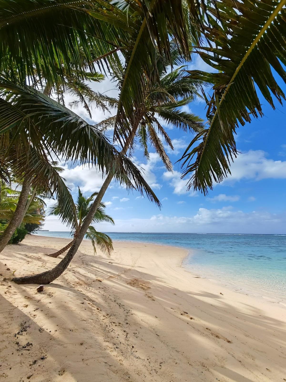 Sandee Turoa Beach