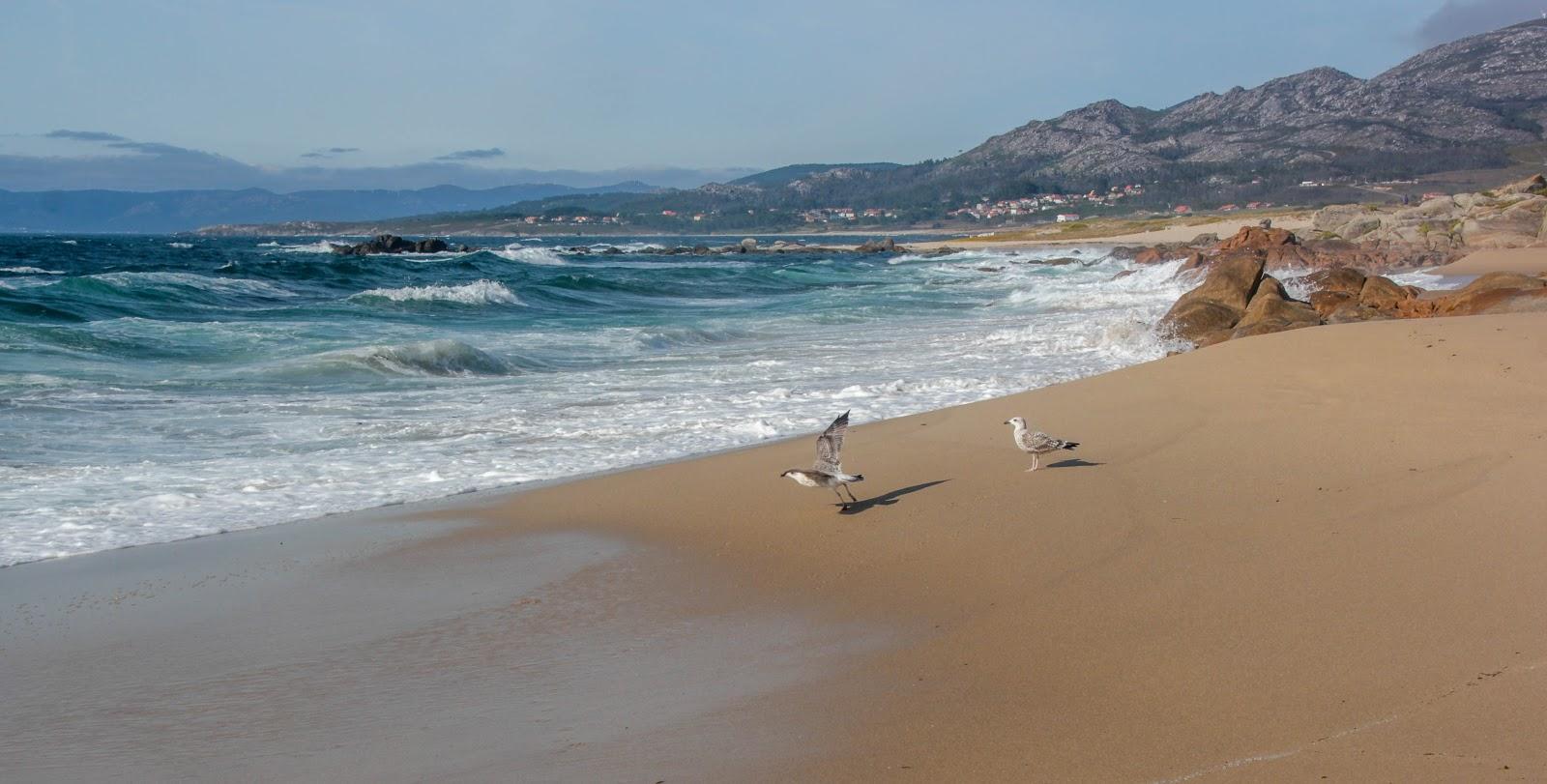 Sandee - Praia De Basonas / Praia Melrreira