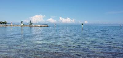 Sandee - Harry Harris Beach Park