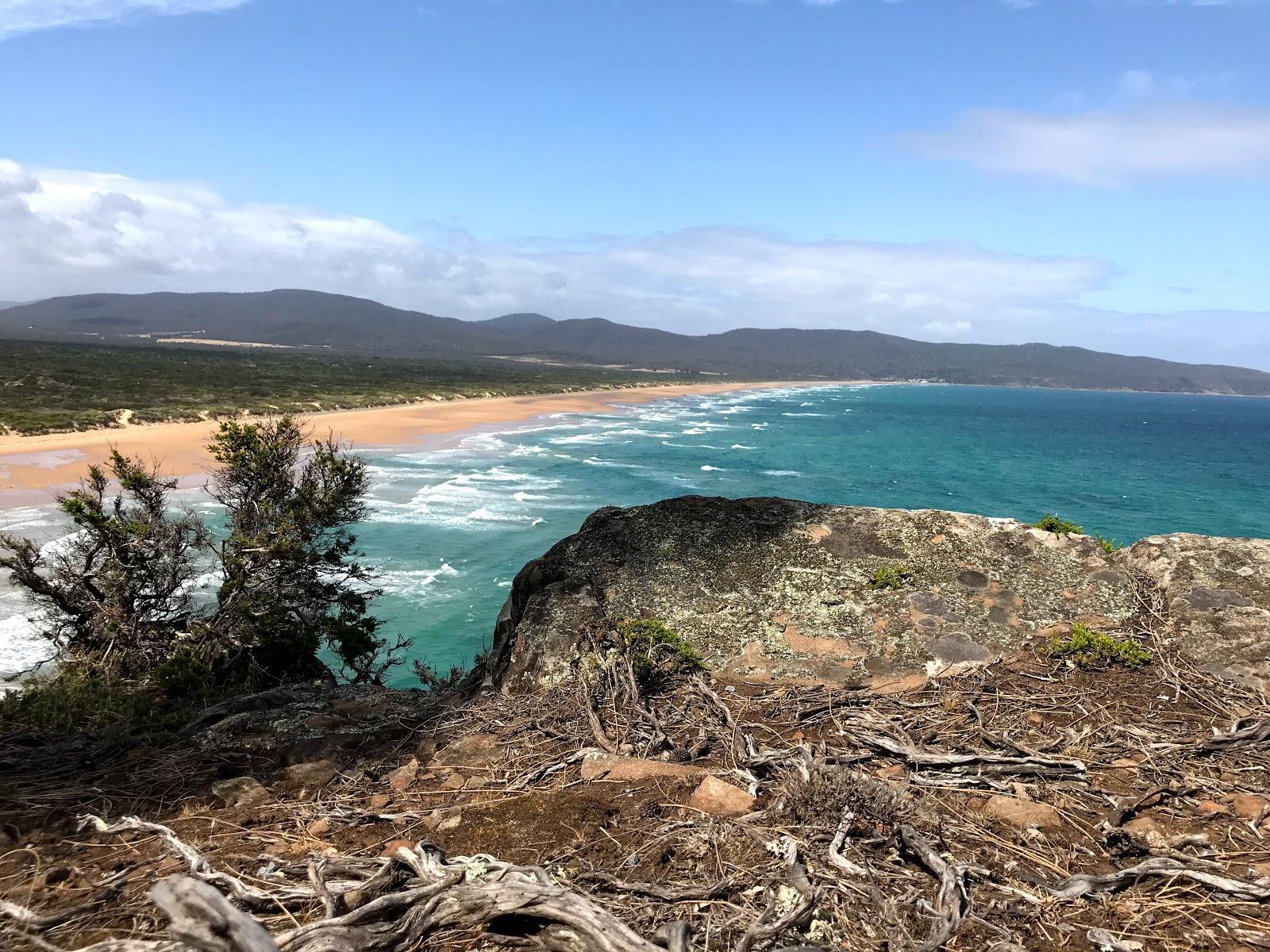 Sandee Badger Beach Photo