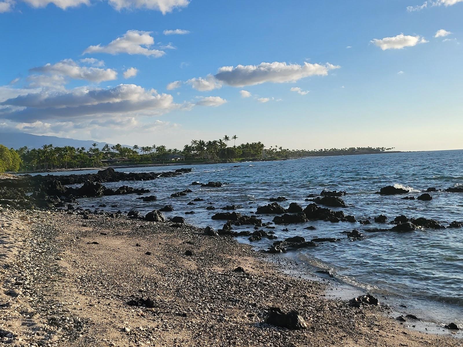 Sandee - Pauoa Bay