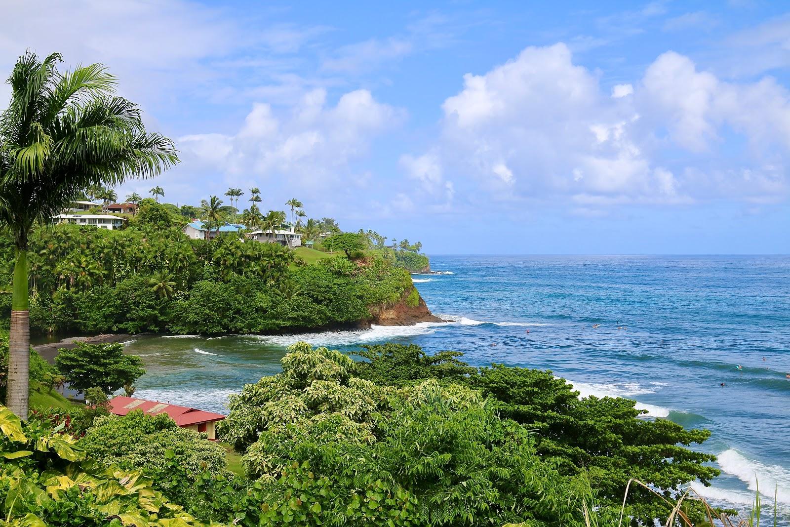 Sandee Honoli'I Beach Park Photo