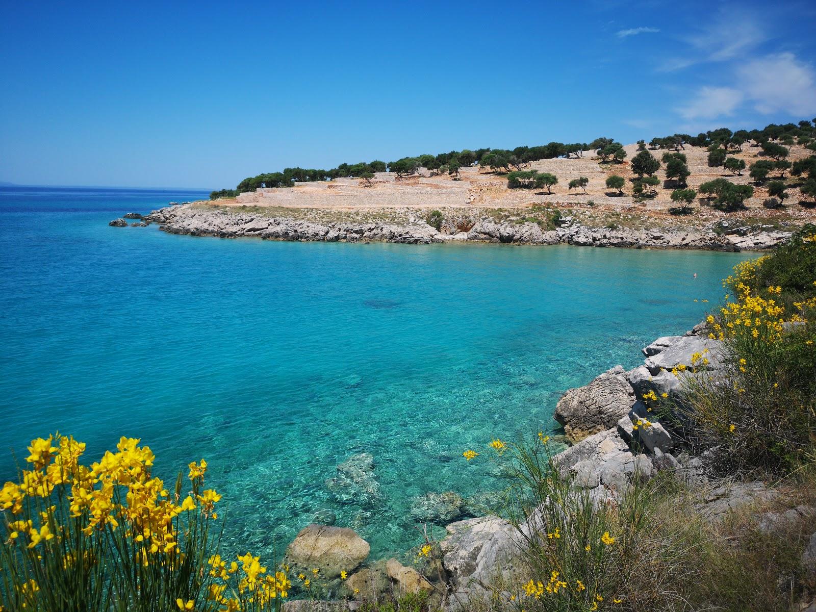 Sandee Borovici Beach
