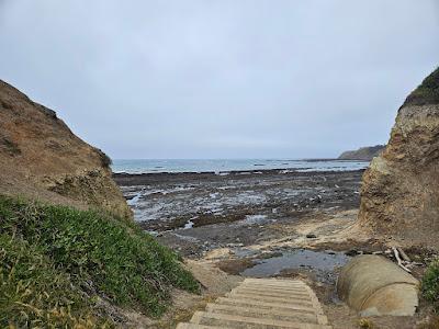 Sandee - Agate Beach County Park - Duxbury Reef