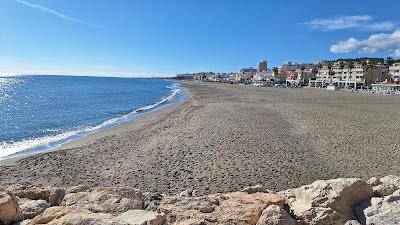 Sandee - Playa De La Carihuela