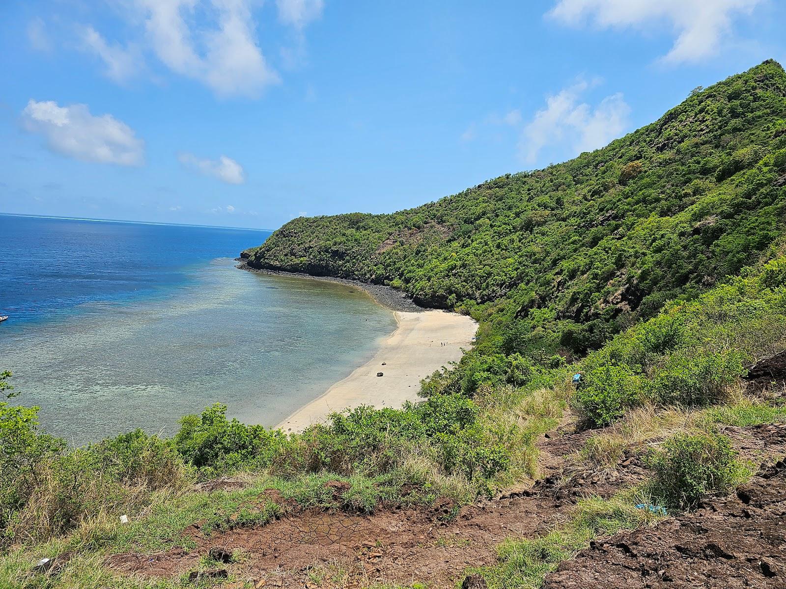 Sandee Prefect Beach