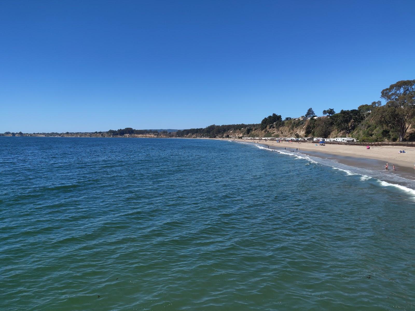 Sandee Seacliff Beach