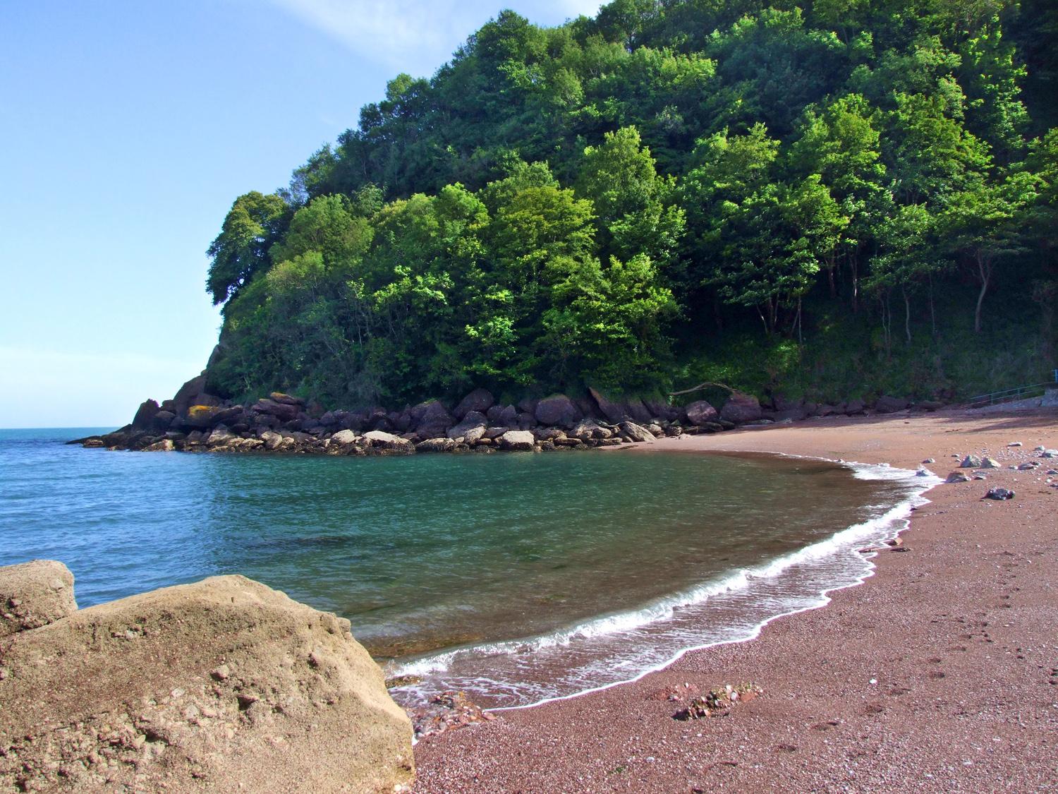 Sandee Watcombe Beach