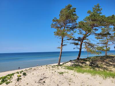 Sandee - Beach W Wiselce