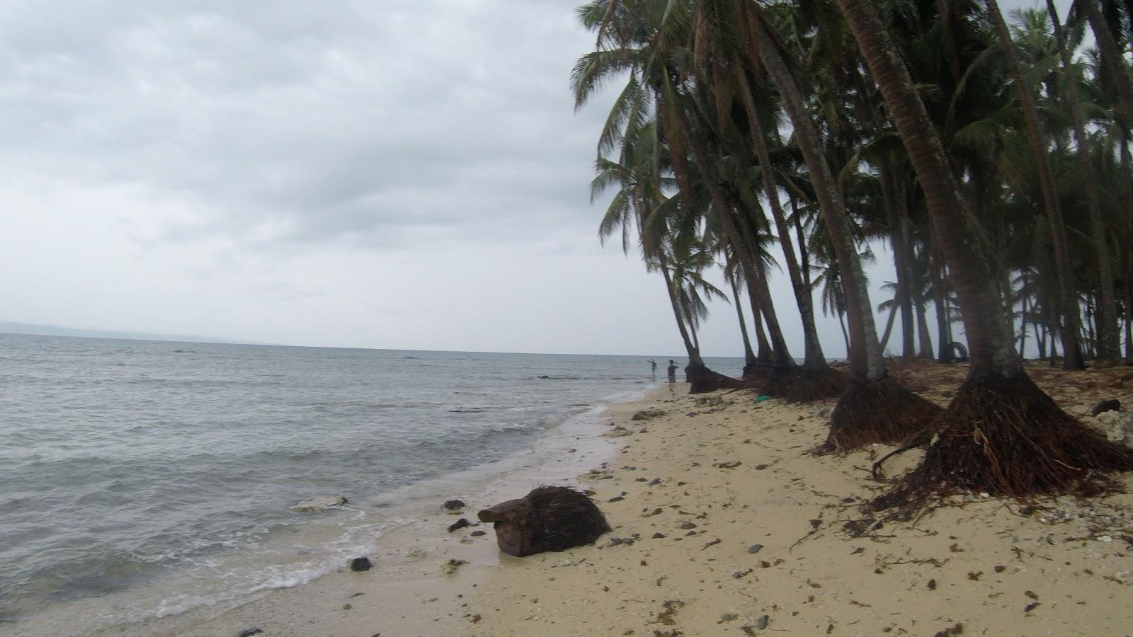 Sandee El Tesoro De Ilocandia Beach