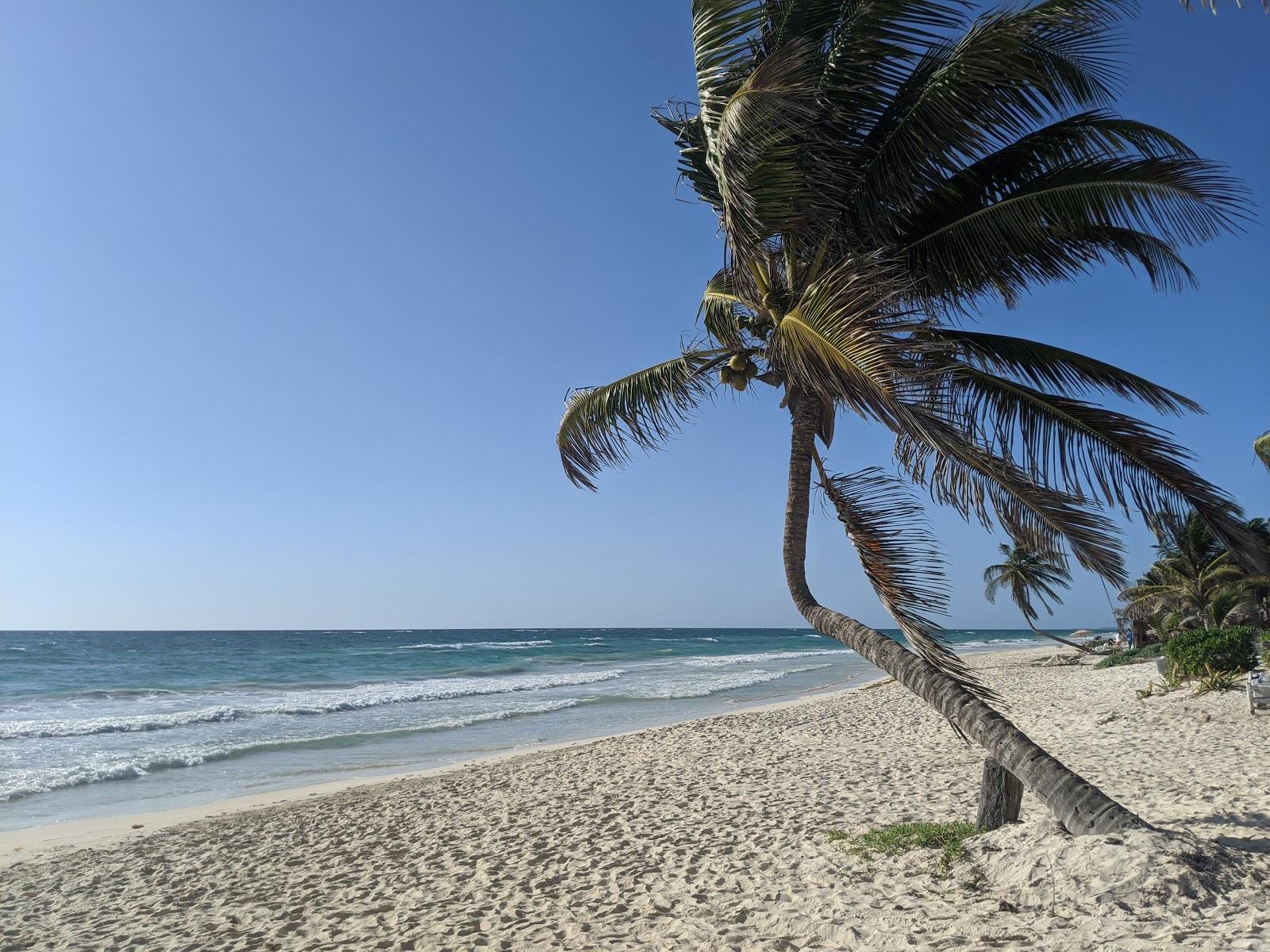 Sandee Playa Xhanan