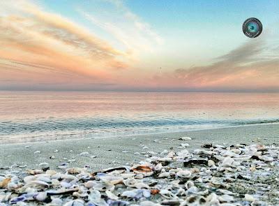 Sandee - Plage De Ghanoush