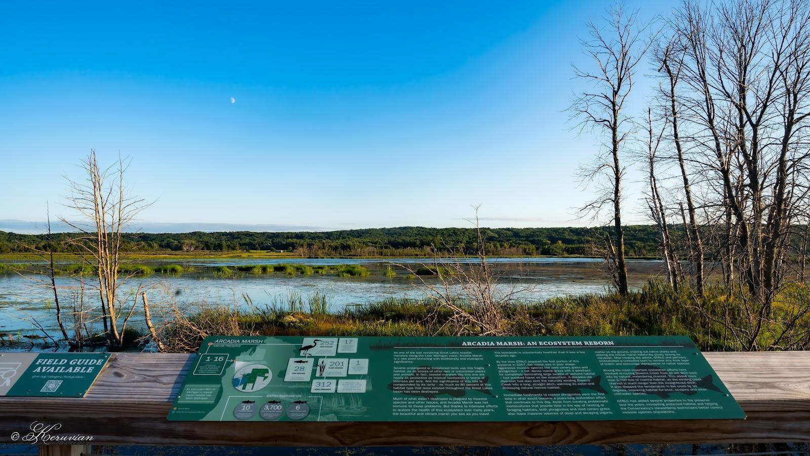 Sandee - Arcadia Marsh Preserve