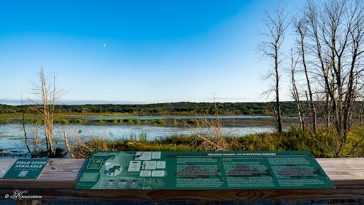 Sandee - Arcadia Marsh Preserve