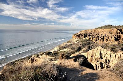 Sandee - Torrey Pines State Beach