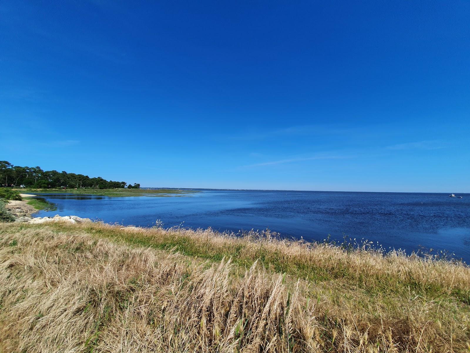 Sandee Beach Bertic
